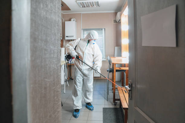 Best Biohazard Mold Removal  in San Lorenzo, CA