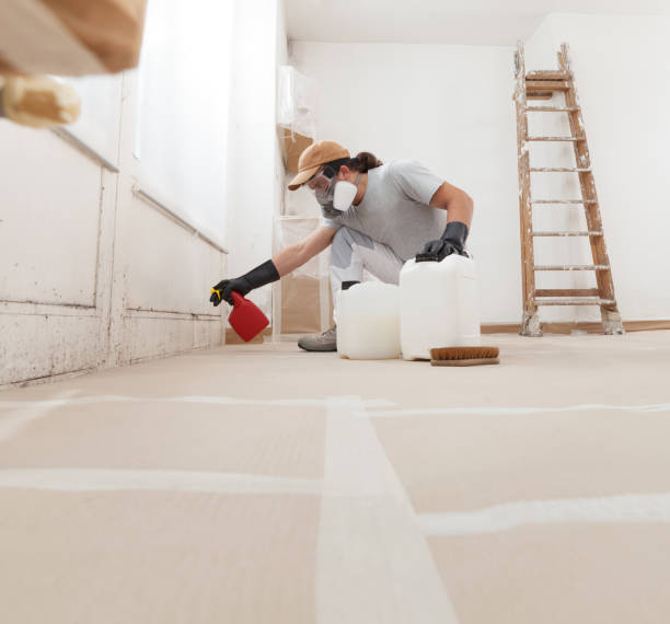 Best Mold Prevention Services  in San Lorenzo, CA